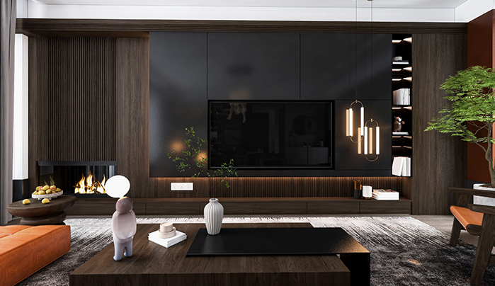 Plywood for TV unit - CenturyPly
