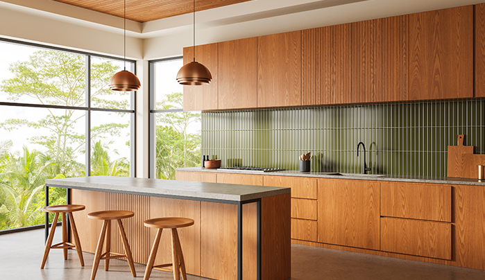 Modern WPC kitchen cabinet - CenturyPly