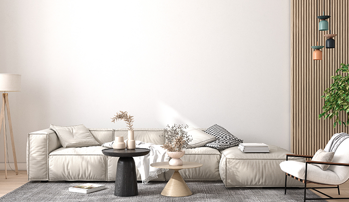 Cozy living hall with large area rug - CenturyPly